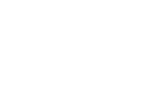 WOOD SYSTEM